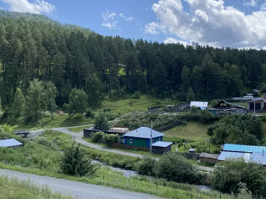 Участок в Алтай, Чемальский район, Узнезинское с/пос, с. Узнезя  (10.0 ... - Фото 2