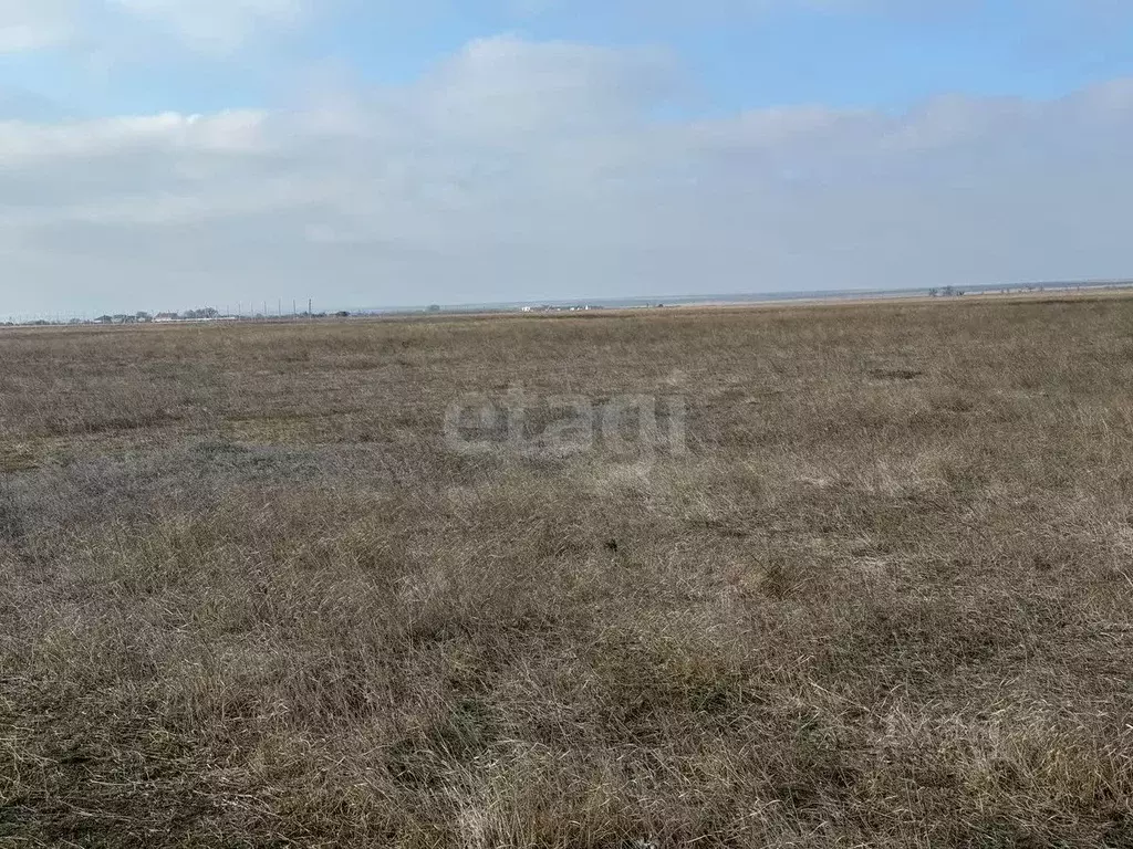 Участок в Крым, Черноморский район, с. Окуневка  (200.0 сот.) - Фото 0