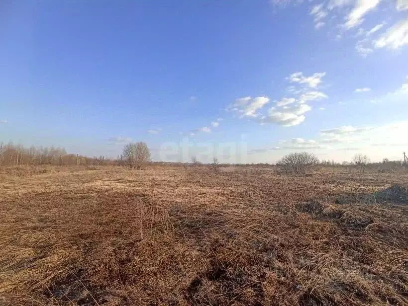 Участок в Костромская область, Красное-на-Волге пгт, пос. Птицефабрика ... - Фото 0