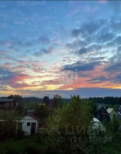 Участок в Новосибирская область, Новосибирский район, Барышевский ... - Фото 2