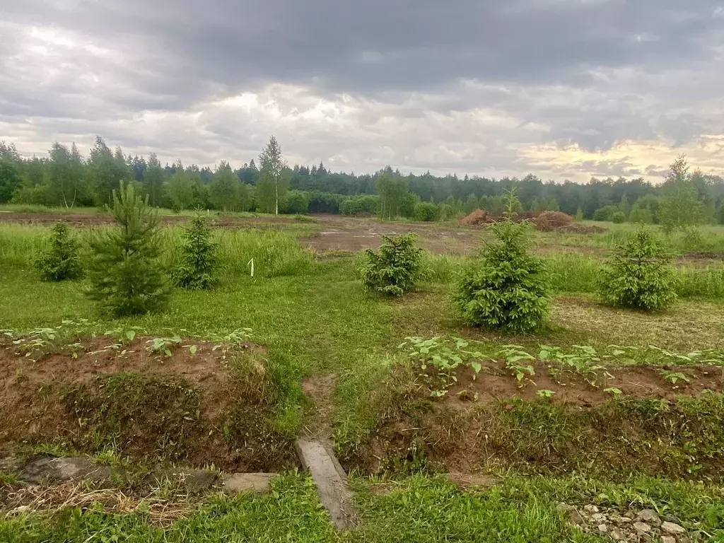 Участок в Московская область, Наро-Фоминский городской округ, д. ... - Фото 1
