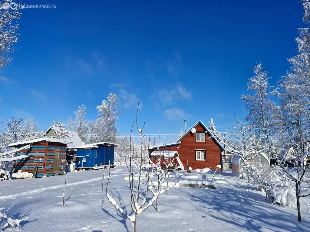 Дом в Кусинское сельское поселение, садоводческий массив Посадников ... - Фото 1