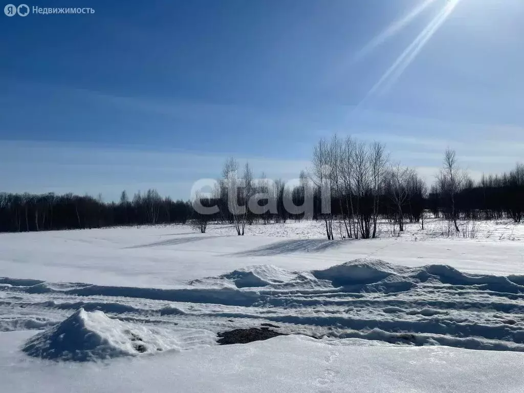 Участок в Тульская область, муниципальное образование Тула, село ... - Фото 1