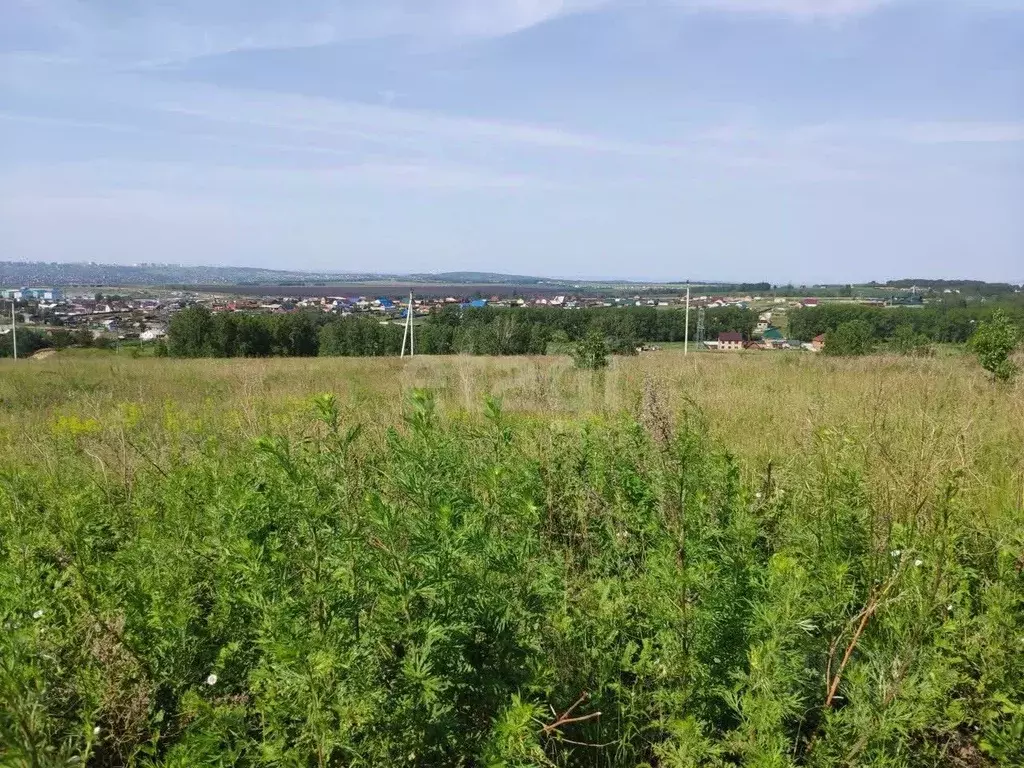 Участок в Красноярский край, Емельяновский муниципальный округ, ... - Фото 2