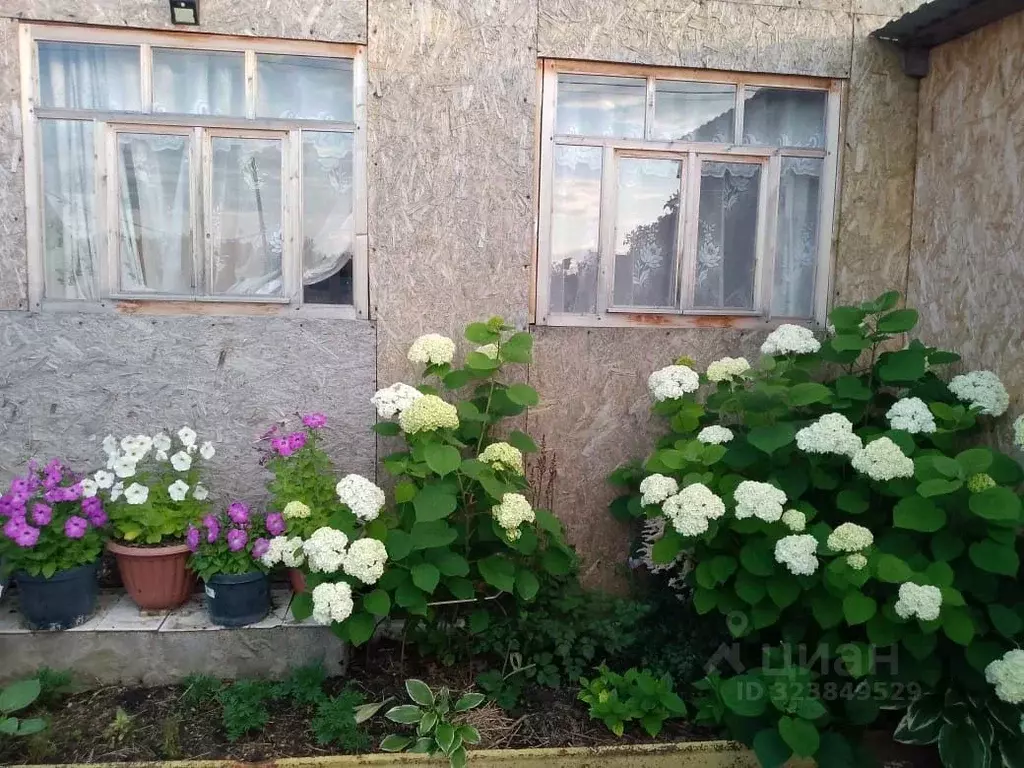 Дом в Башкортостан, Иглинский район, с. Акбердино  (80 м) - Фото 1