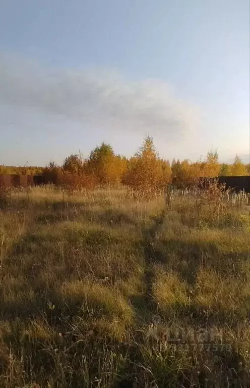 Участок в Тульская область, Веневский муниципальный округ, д. Сетка  ... - Фото 2