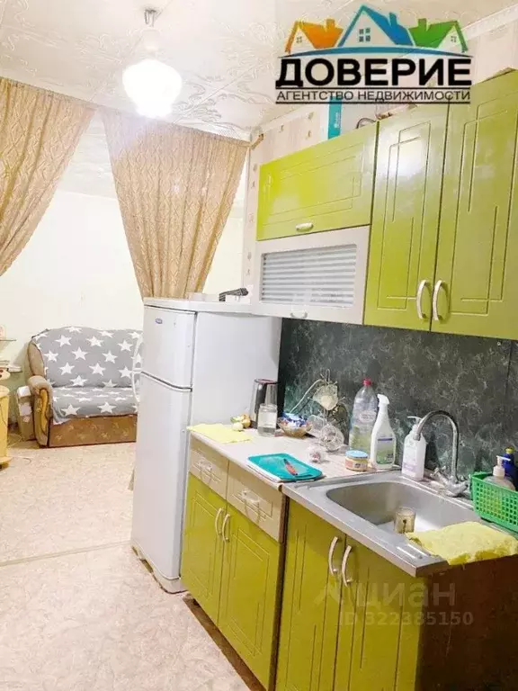 1-к кв. Ульяновская область, Сенгилеевский район, Силикатный рп ул. ... - Фото 1