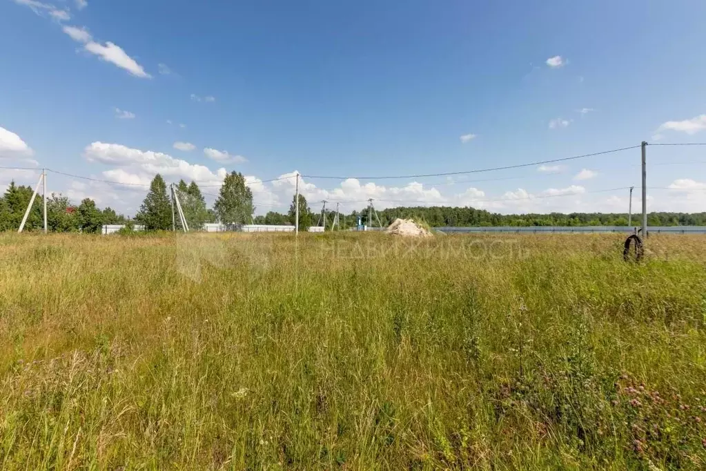 Участок в Тюменская область, Тюменский район, с. Кулига  (14.23 сот.) - Фото 1