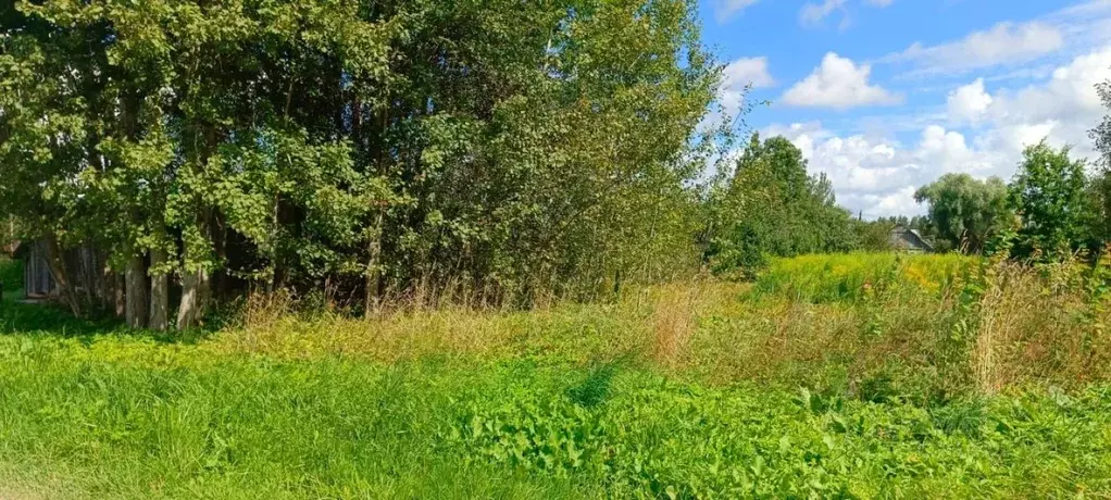 Участок в Псковская область, Псковский район, Ершовская волость, д. ... - Фото 1
