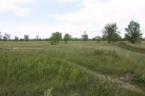 Участок в Самарская область, Тольятти Южное ш. (2300.0 сот.) - Фото 2