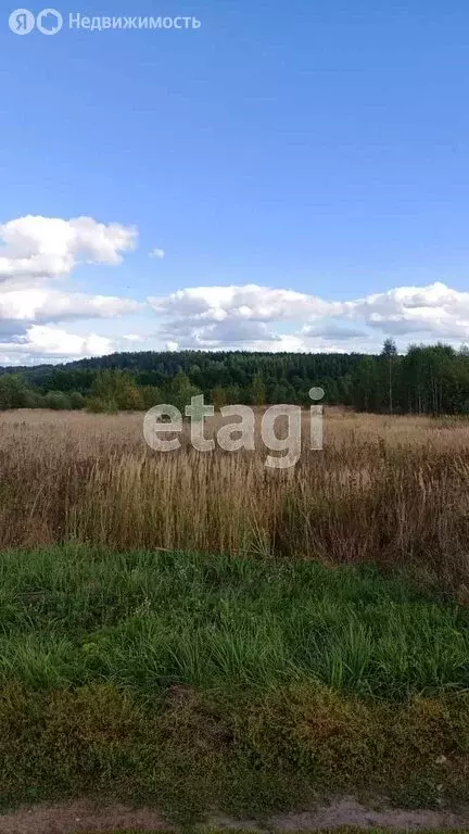 Участок в Владимирская область, Меленковский муниципальный округ, село ... - Фото 1