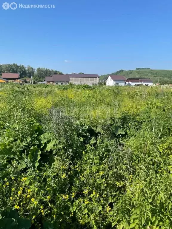 Участок в Майминский район, село Майма (8 м) - Фото 0