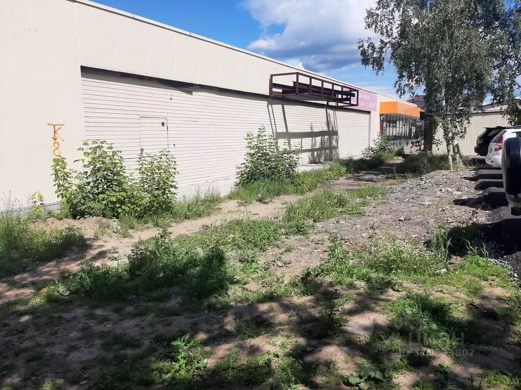 Торговая площадь в Томская область, Томск ул. Смирнова, 38 (1500 м) - Фото 0