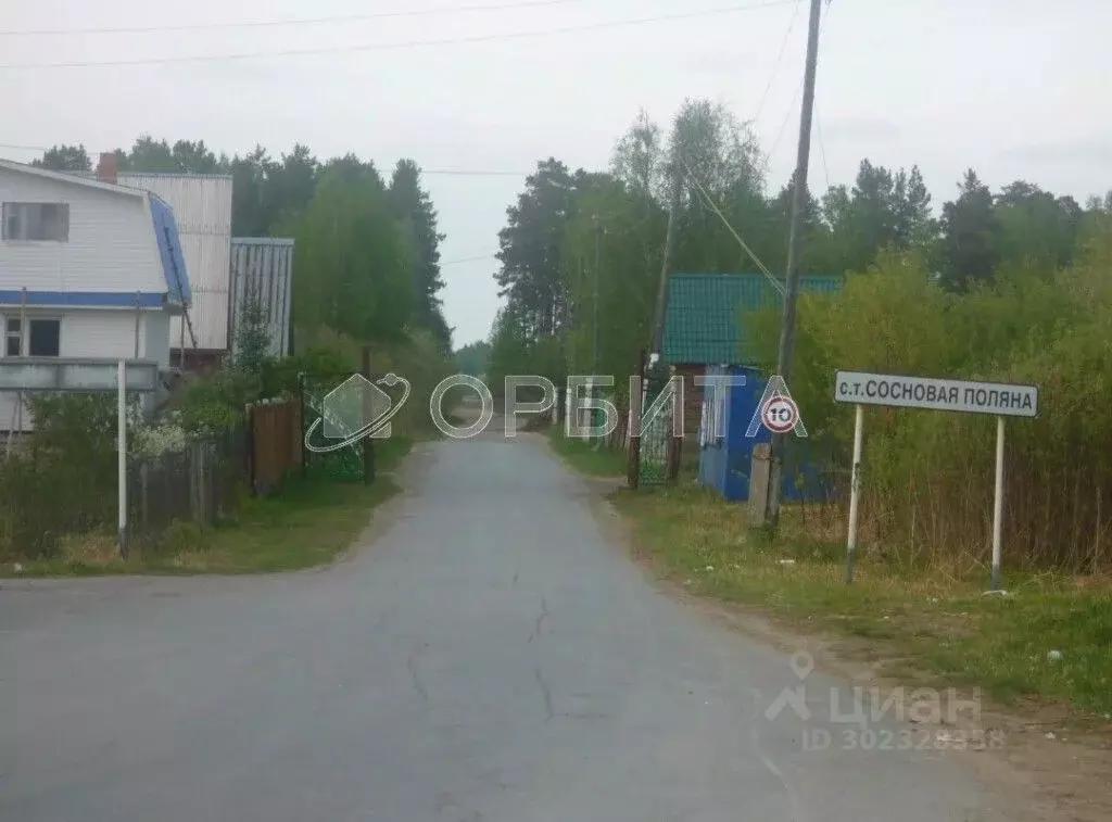 Участок в Тюменская область, Тюмень городской округ, Сосновая Поляна ... - Фото 1