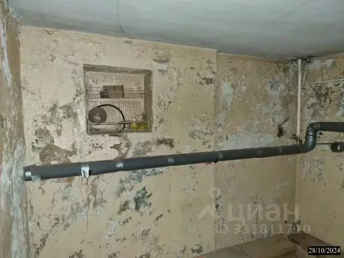 Помещение свободного назначения в Нижегородская область, Нижний ... - Фото 2