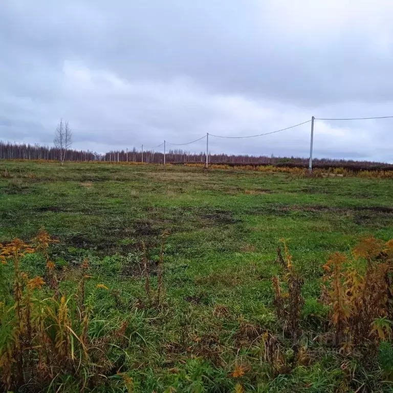 Участок в Нижегородская область, Саров  (550.0 сот.) - Фото 1