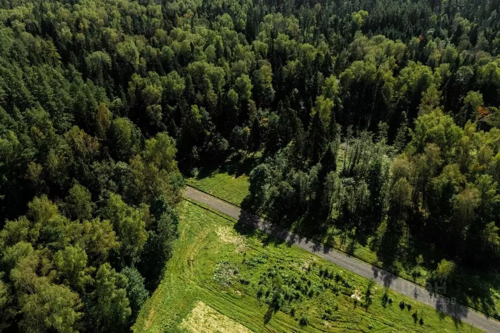 Участок в Московская область, Истра муниципальный округ, д. Дубровское ... - Фото 1