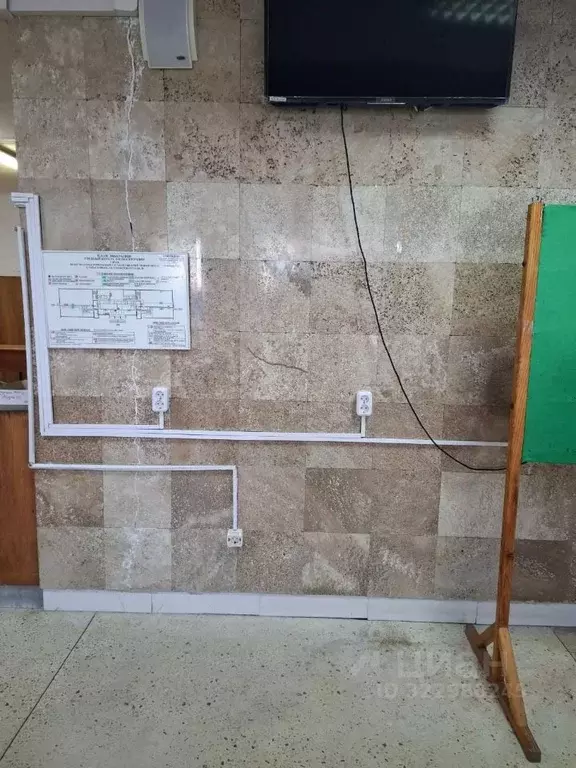 Помещение свободного назначения в Севастополь ул. Университетская, 32 ... - Фото 2