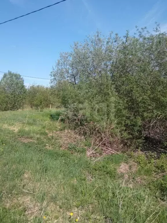 Участок в Вологодская область, Сокольский муниципальный округ, ... - Фото 1