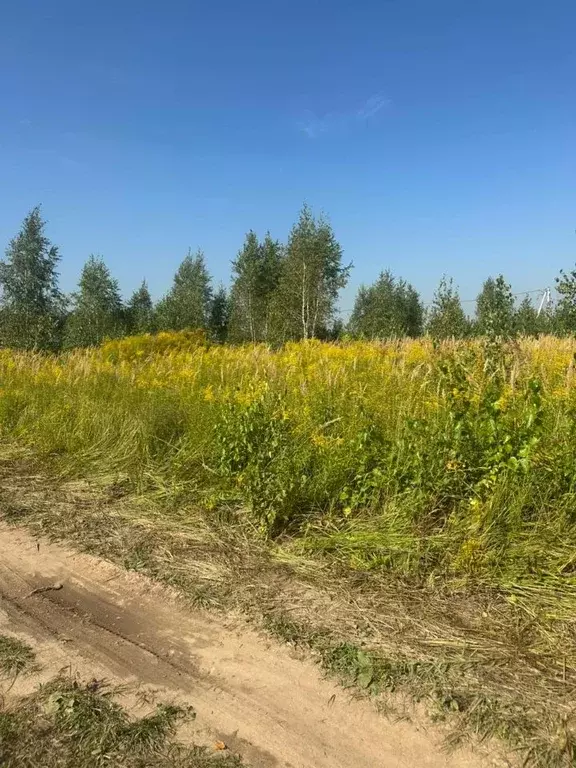 Участок в Московская область, Щелково городской округ, Ягодная тер.  ... - Фото 0