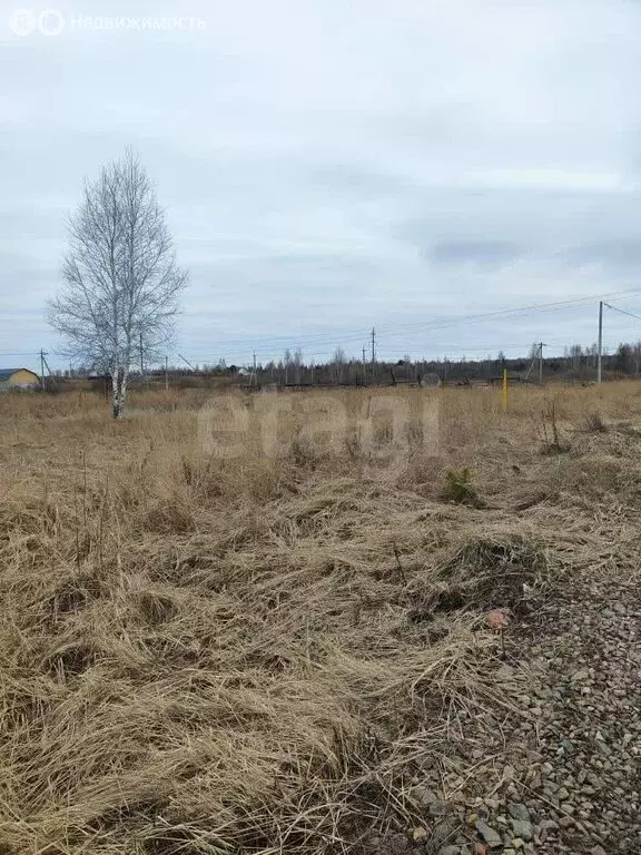 Участок в Шадринск, улица Клеванцова (10 м) - Фото 1