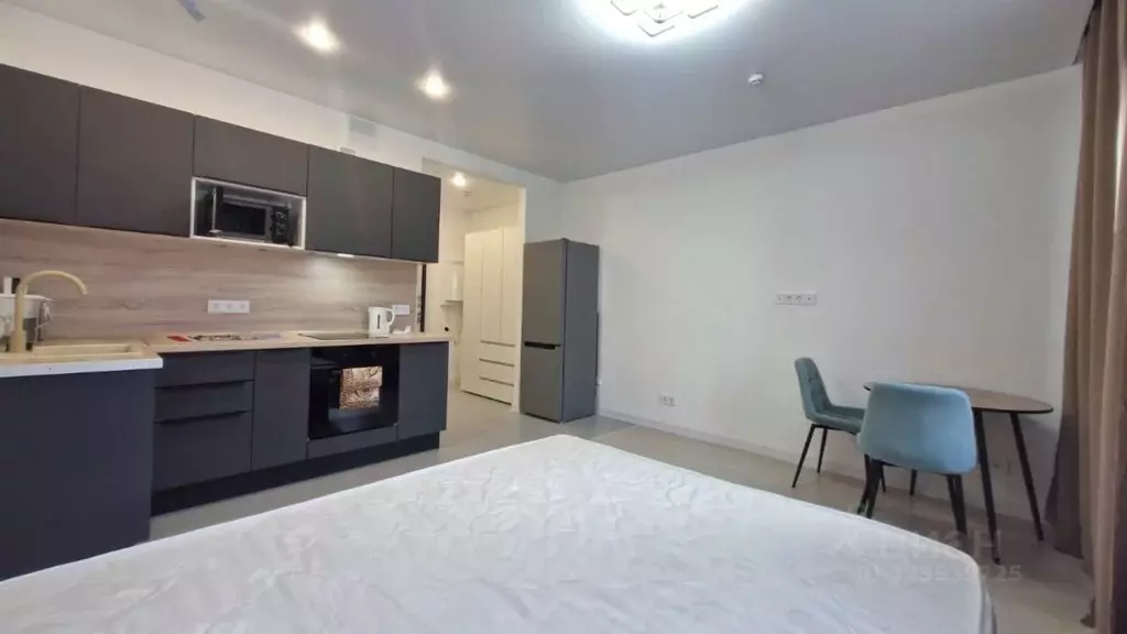 Студия Московская область, Пушкино ул. Александра Меня, 5 (26.0 м) - Фото 2