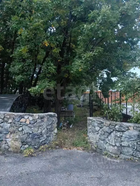 Участок в Амурская область, Благовещенский район, с. Чигири  (8.0 ... - Фото 0