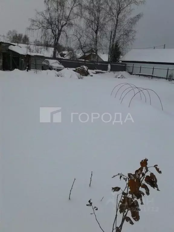 Участок в Алтайский край, Барнаул городской округ, пос. Плодопитомник ... - Фото 1