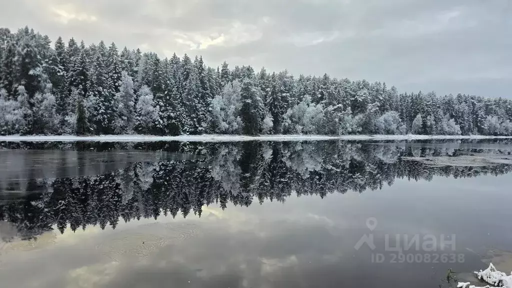 Дом в Карелия, Олонецкий район, Ильинское с/пос, с. Нурмойла ул. ... - Фото 1