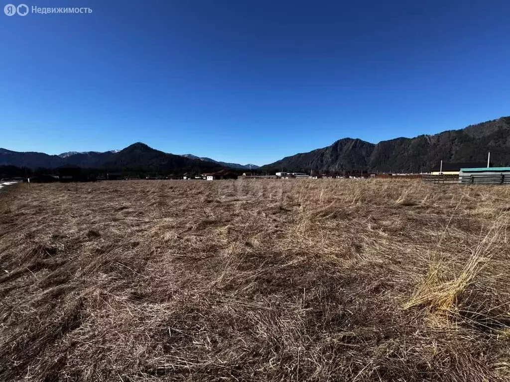 Участок в Чемальский район, село Чепош (10 м) - Фото 1