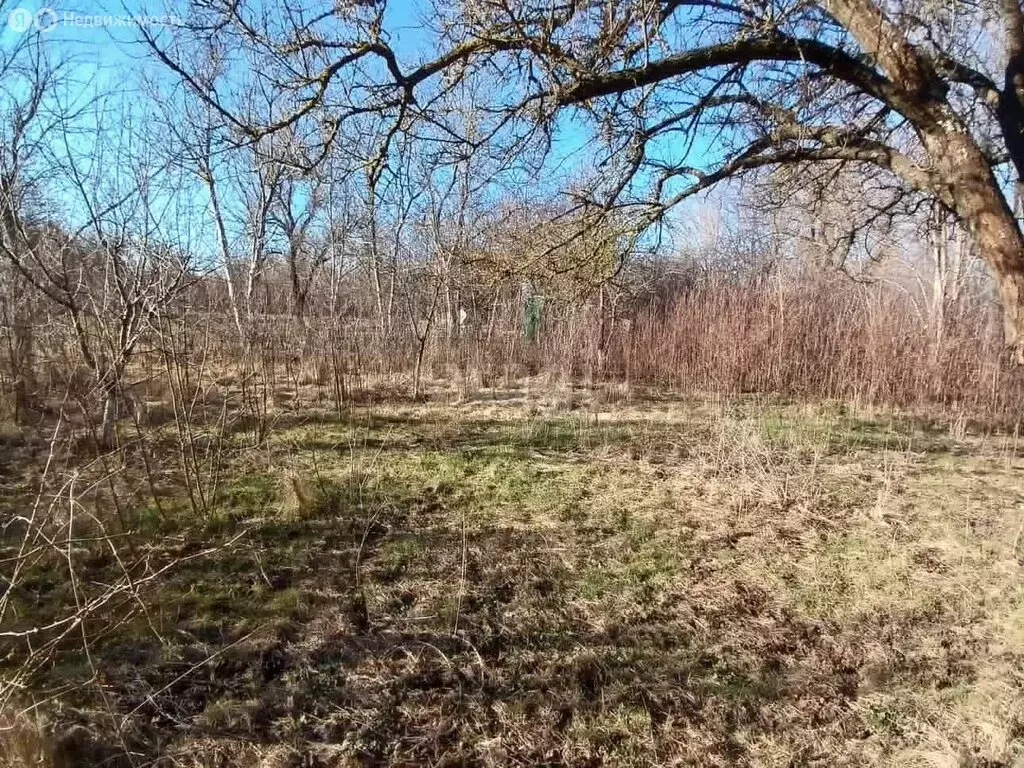 Участок в Кулешовское сельское поселение, дачное некоммерческое ... - Фото 0