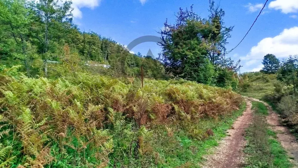 Участок в Краснодарский край, Апшеронский район, пос. Мезмай Высокая ... - Фото 1