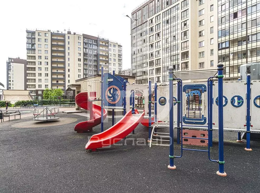 Квартира-студия: Санкт-Петербург, проспект Ветеранов, 169к2 (24 м) - Фото 0