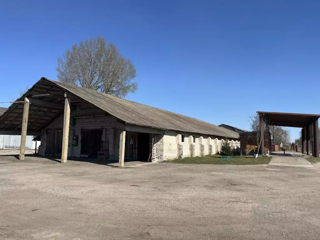 Производственное помещение в Калининградская область, Гусевский ... - Фото 1