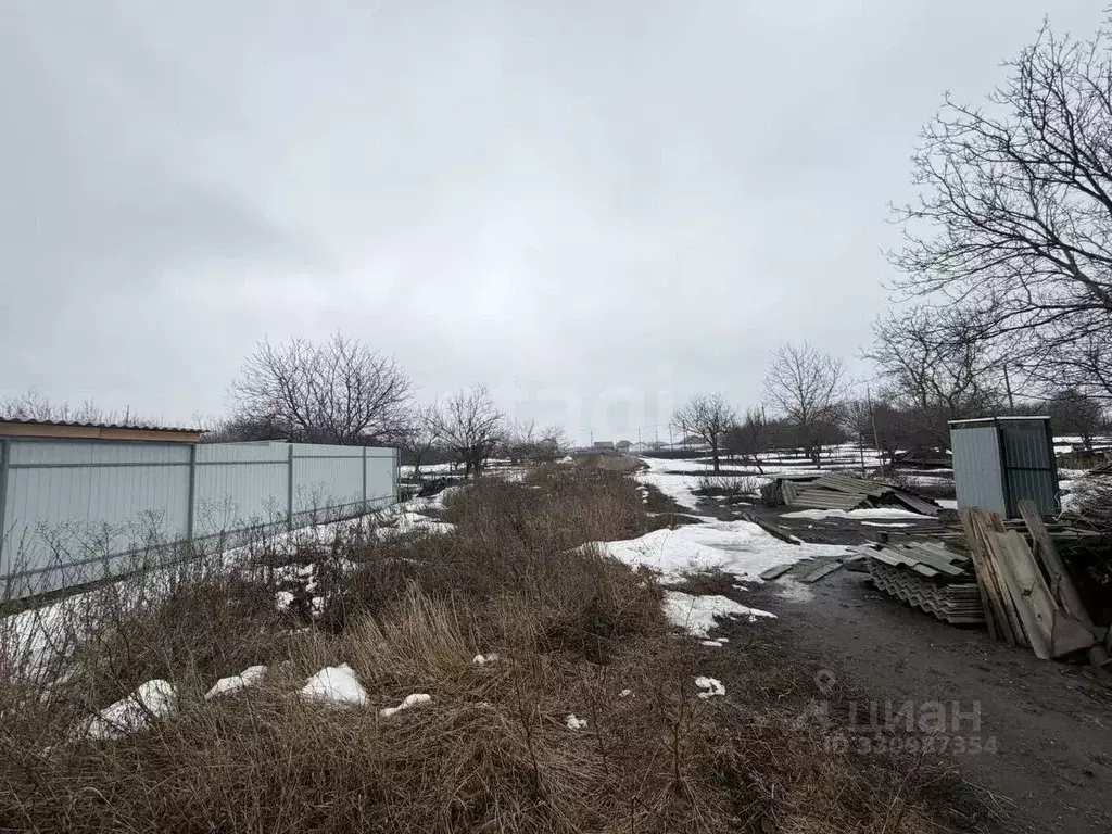 Участок в Белгородская область, Корочанский муниципальный округ, с. ... - Фото 1