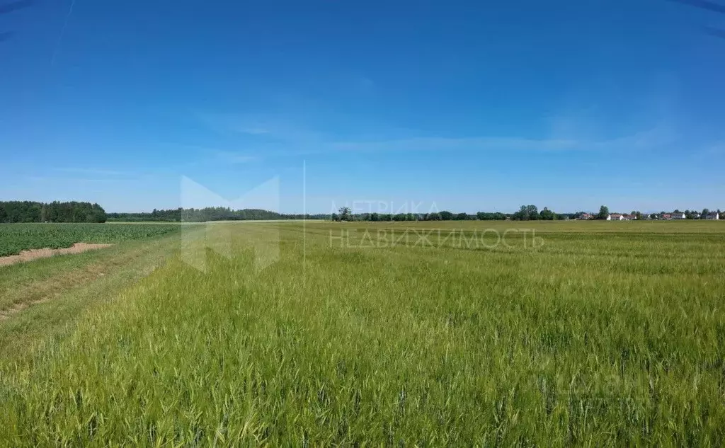 Участок в Тюменская область, Тюменский муниципальный округ, Майское ... - Фото 0