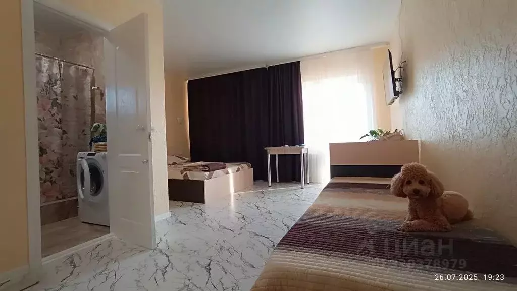 3-к кв. Крым, Сакский район, Новофедоровка пгт пер. Дегтярева, 4 (75.0 ... - Фото 2