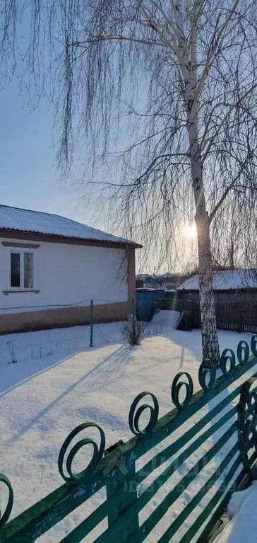 Дом в Воронежская область, Семилукский район, с. Медвежье Луговая ул. ... - Фото 1