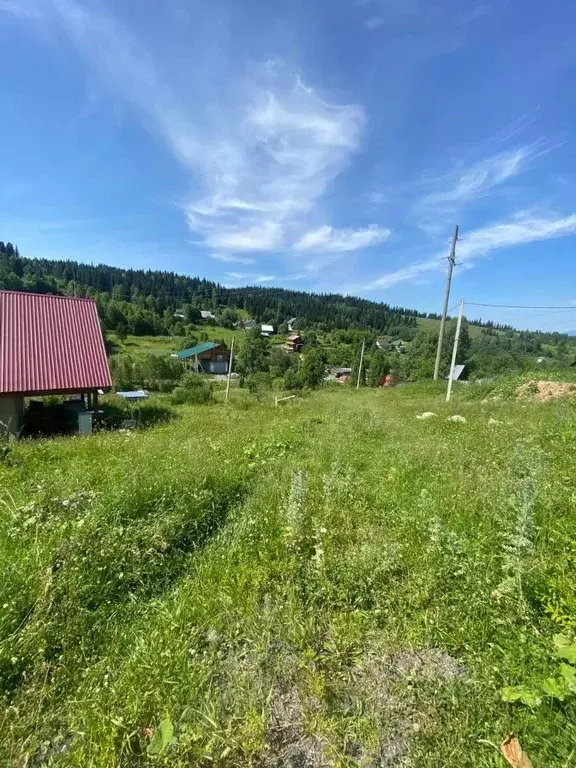 Дом в Кемеровская область, Таштагол Трактовая ул. (51 м) - Фото 0