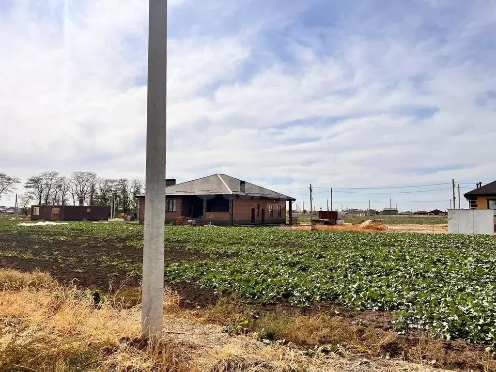 Участок в Ростовская область, Неклиновский район, с. Новобессергеневка ... - Фото 1