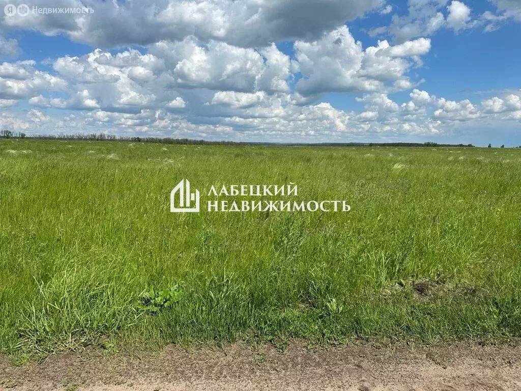 Участок в Самарская область, сельское поселение Красный Яр, КП ... - Фото 2