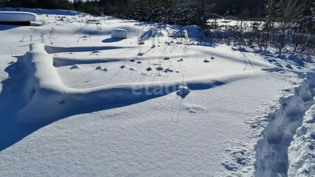 Участок в Свердловская область, Горноуральский городской округ, с. ... - Фото 0