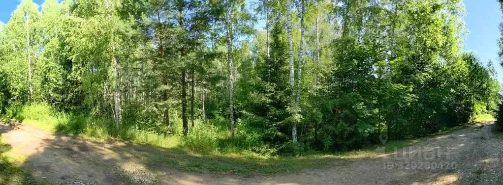 Участок в Калужская область, Дзержинский район, Рудня с/пос, д. ... - Фото 2