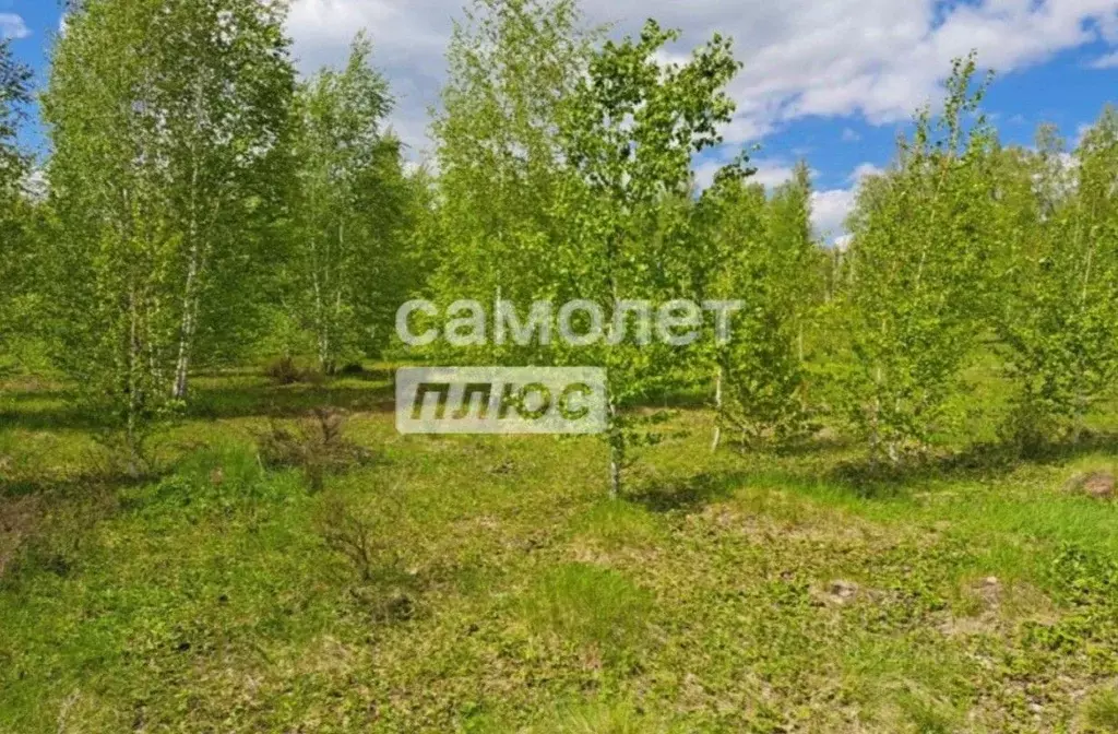 Участок в Челябинская область, Сосновский муниципальный округ, д. ... - Фото 1