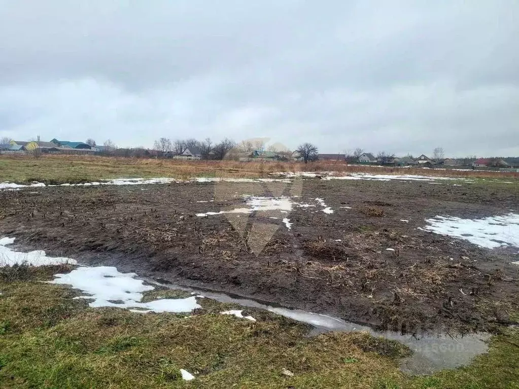 Участок в Белгородская область, Старооскольский городской округ, с. ... - Фото 1