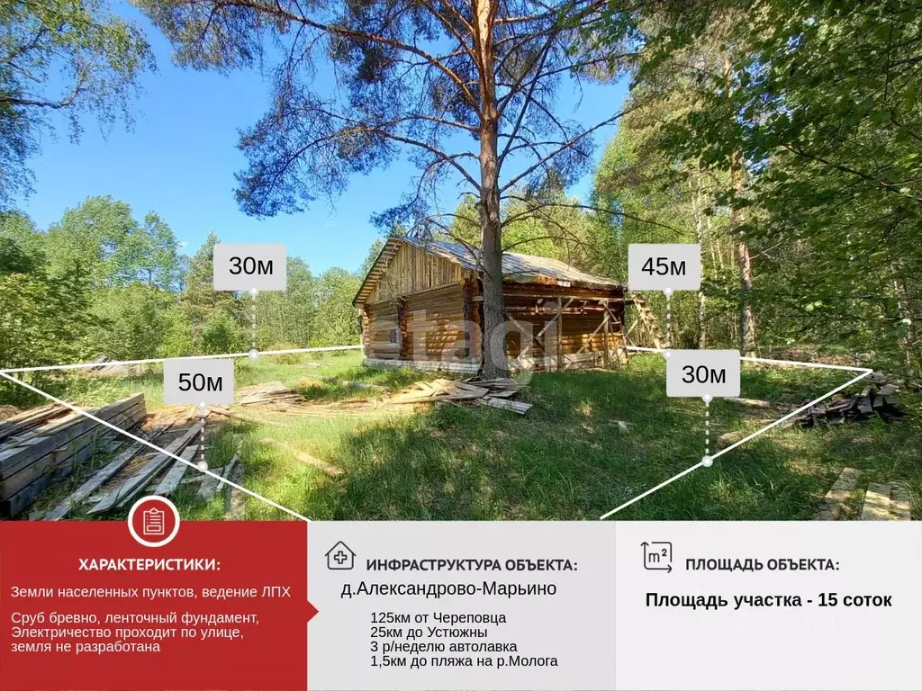 Участок в Вологодская область, Устюженский район, д. ... - Фото 1