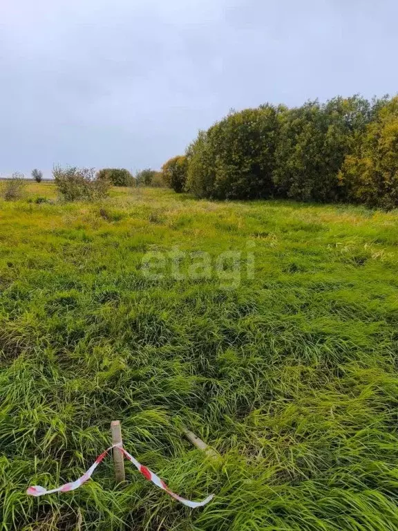 Участок в Ханты-Мансийский АО, Ханты-Мансийского муниципального района ... - Фото 1