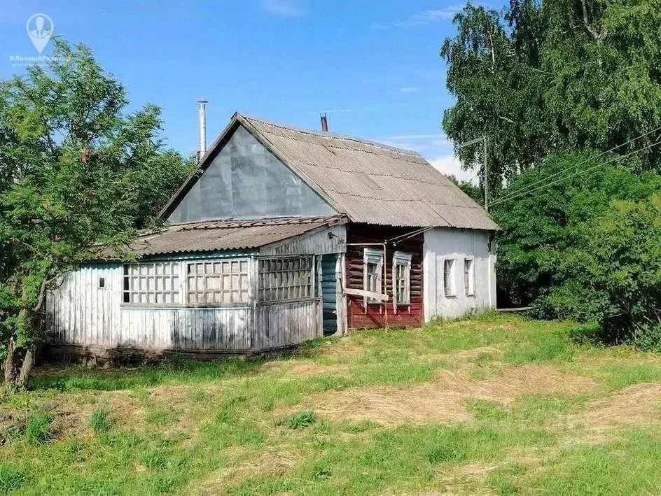 Дом в Рязанская область, Скопинский муниципальный округ, с. ... - Фото 1