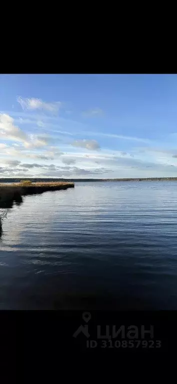 Участок в Ленинградская область, Всеволожский район, Куйвозовское ... - Фото 0