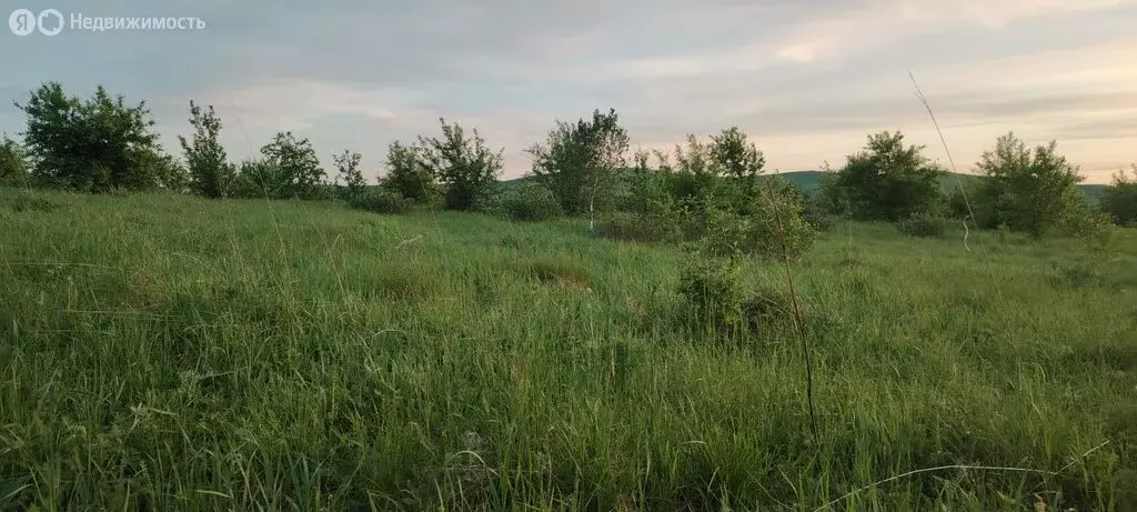 Участок в Алтайский район, автодорога Подгорное - Ая (10 м) - Фото 1
